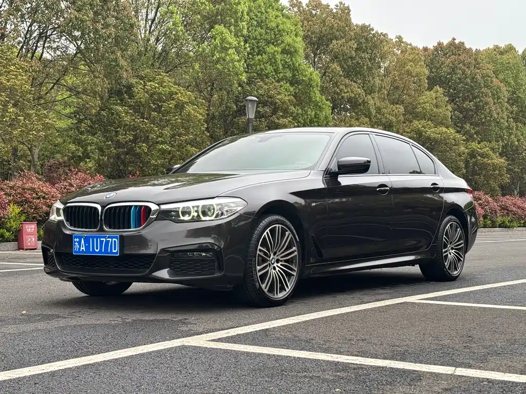 BMW 5 Series 2019