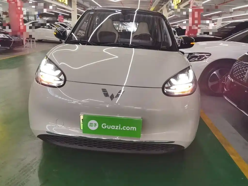 Wuling Bingo 2024