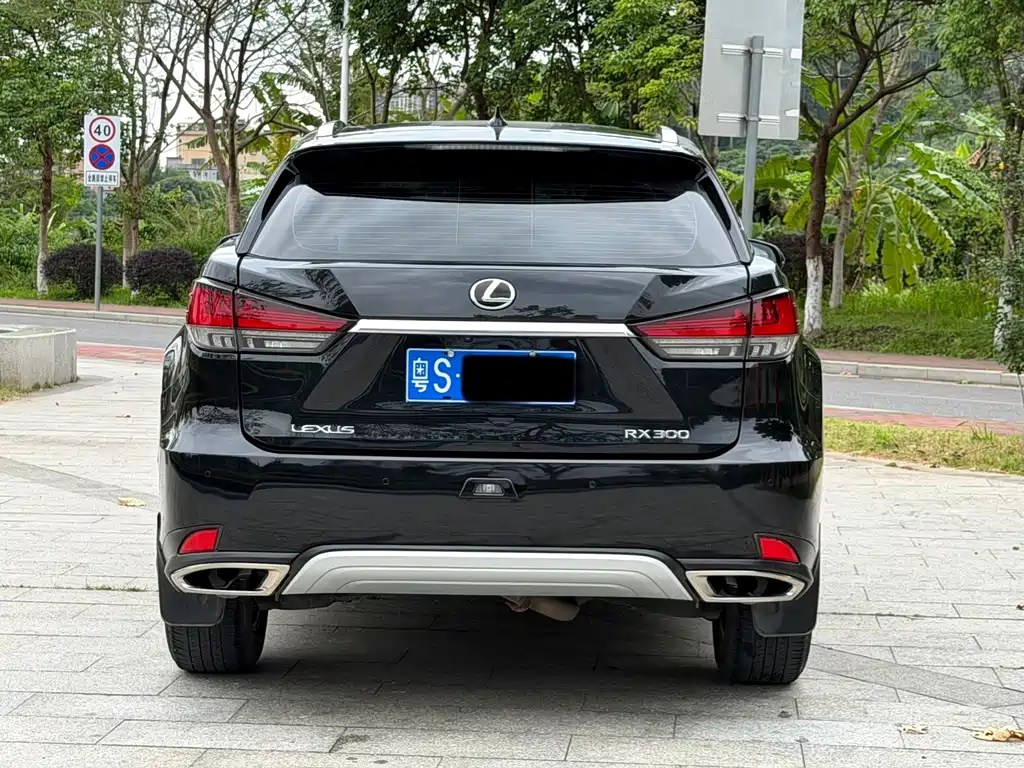 Lexus RX 2022 — фото 9