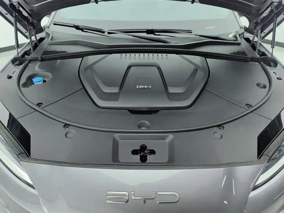 BYD PLUS New Energy 2024 — фото 10