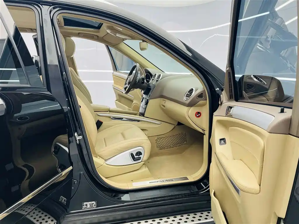 Mercedes-Benz M-Class AMG 2010 — фото 22