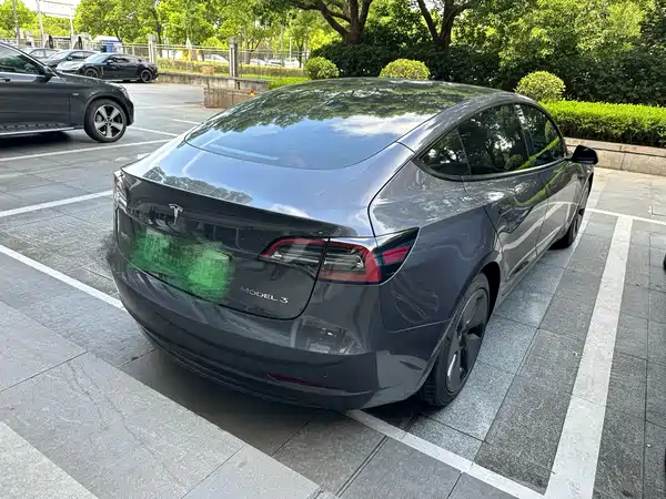 Tesla Model 3 2021