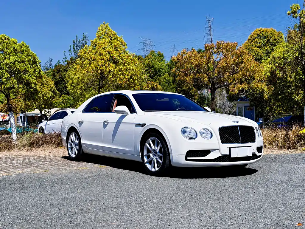 Bentley Flying Spur 2020 — фото 11
