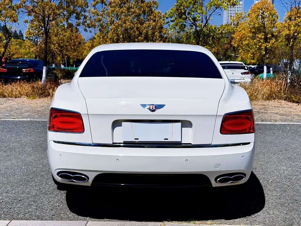 Bentley Flying Spur 2020 — фото 18