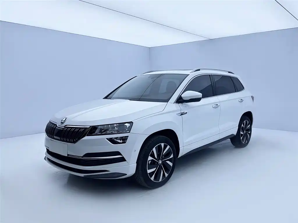 Skoda Karoq 2024 — фото 1