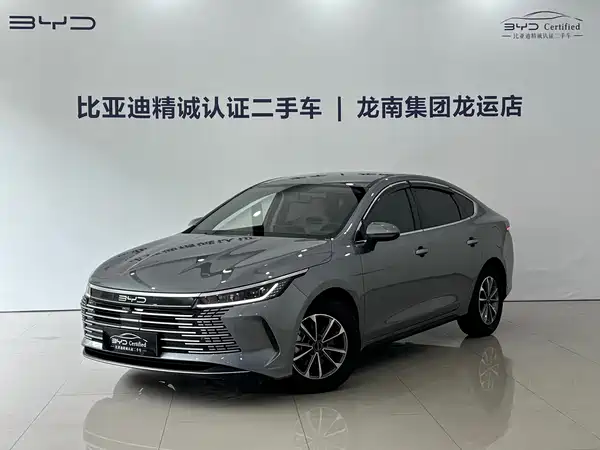 BYD Destroyer 05 2024