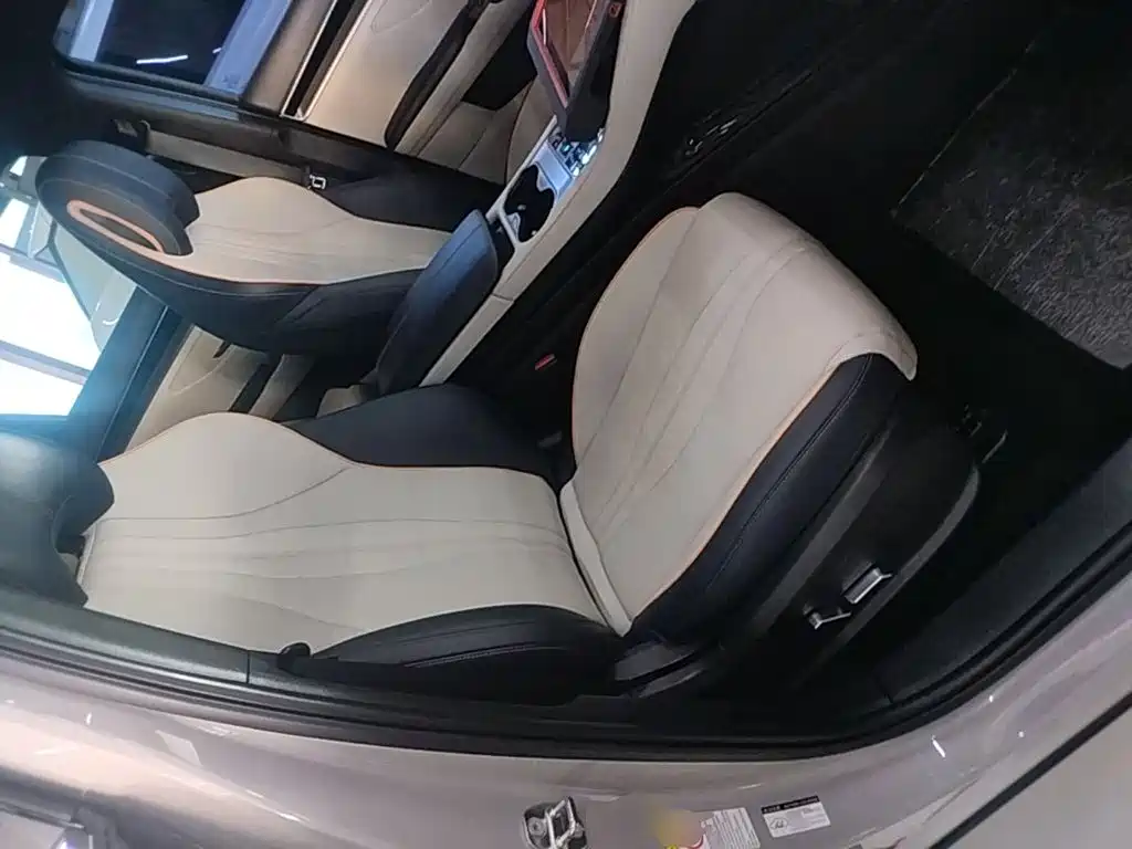 BYD Song PLUS New Energy 2024 — фото 25