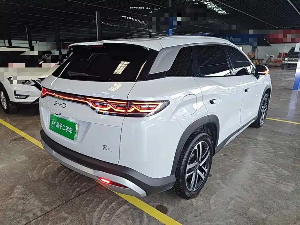 BYD L DM-i 2024 — фото 7