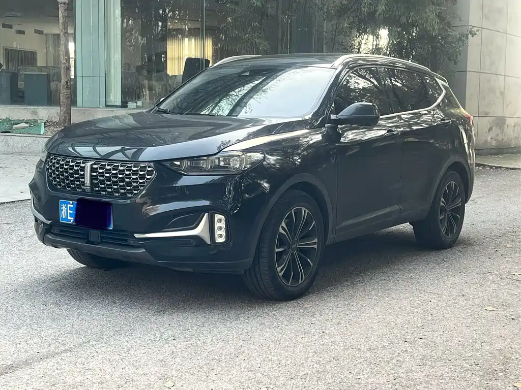 Wey VV6 2020