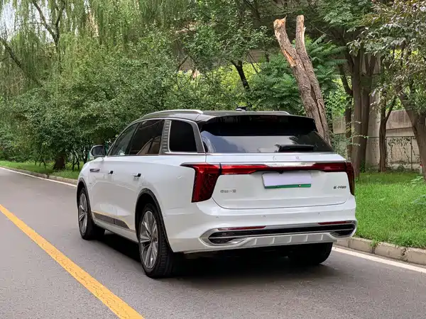 Hongqi E-HS9 2023