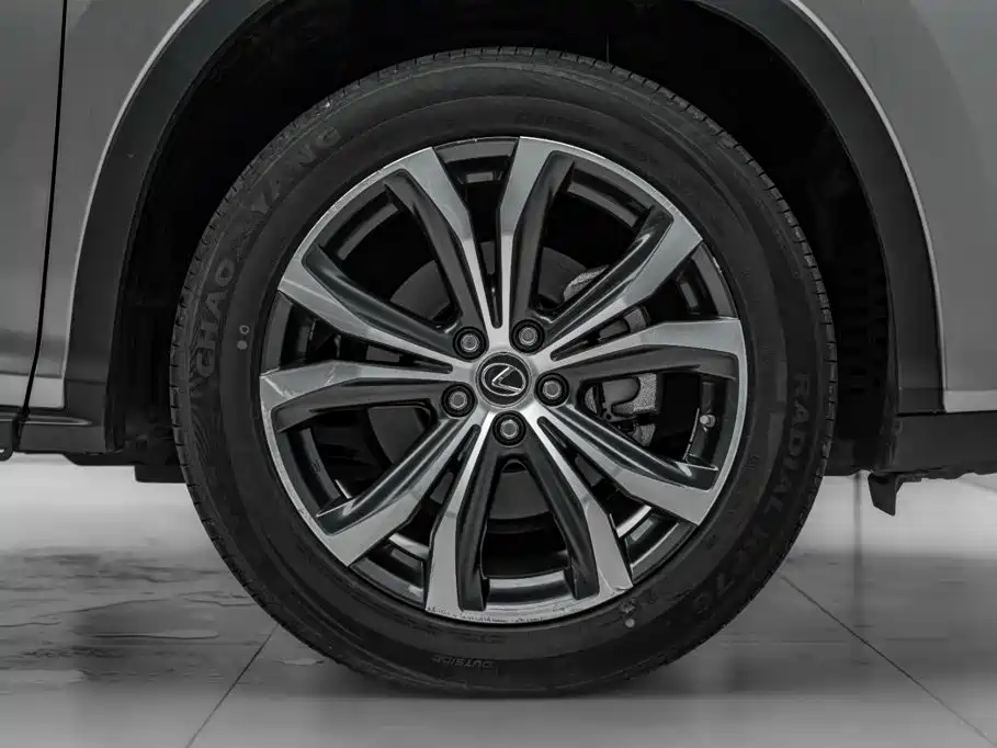 Lexus RX 2021 — фото 43