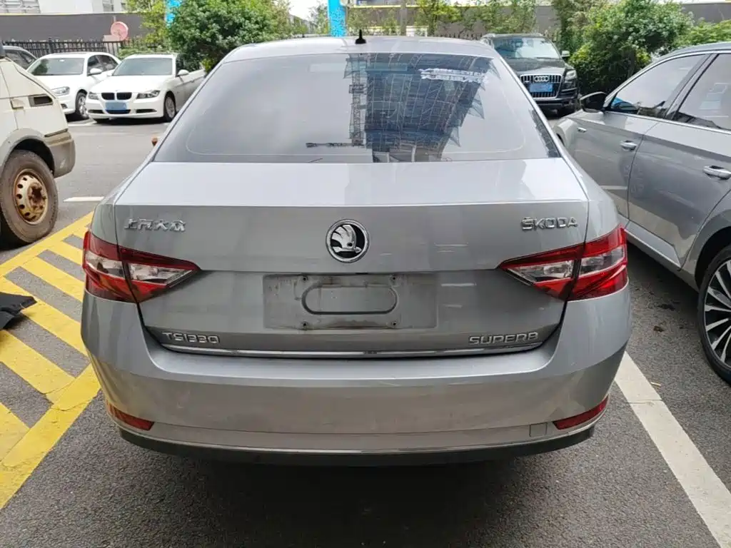 Skoda Speedy 2018