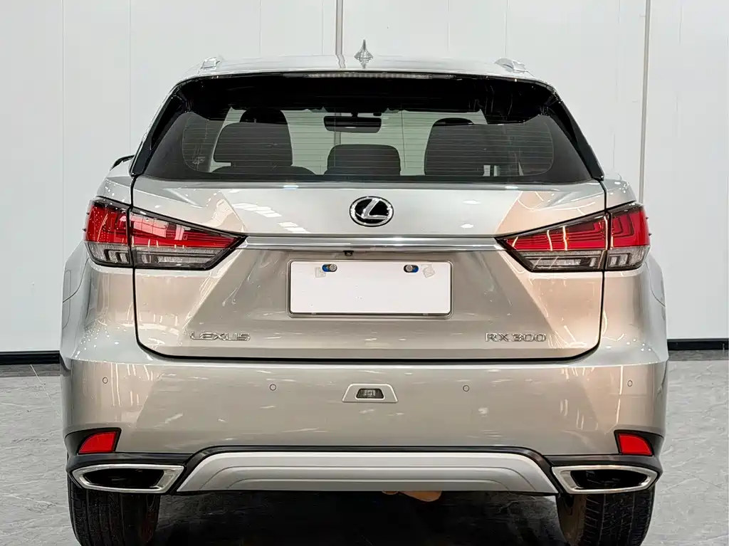 Lexus RX 2020 — фото 11