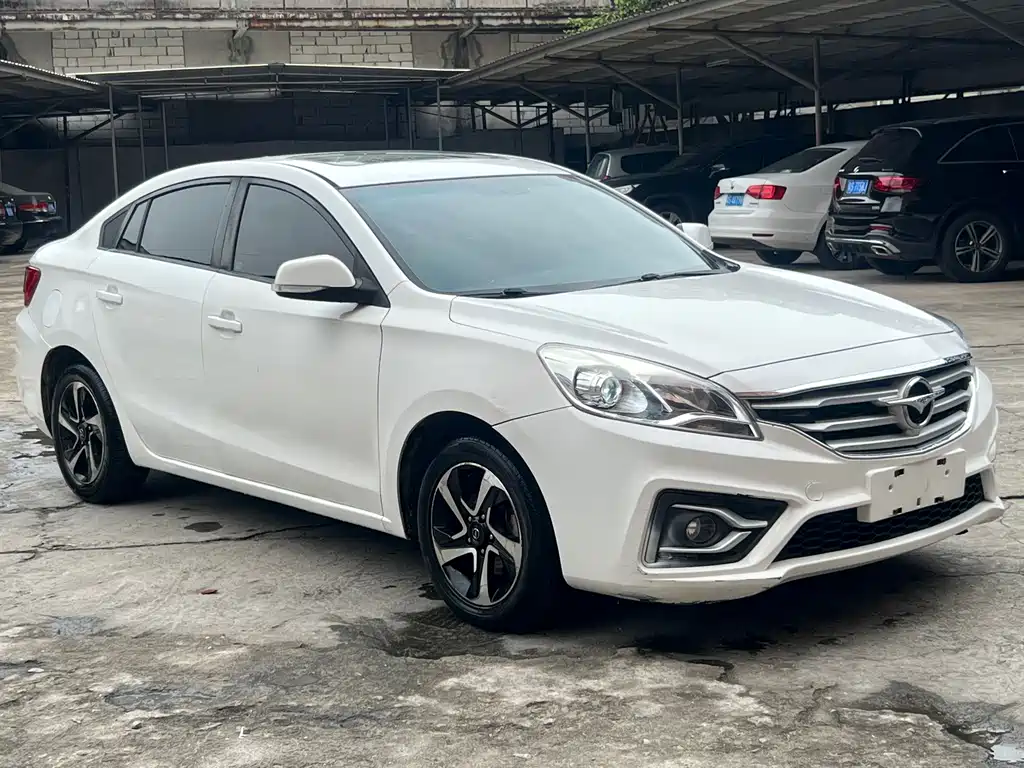 Haima Vanda Electric 2017 — фото 3