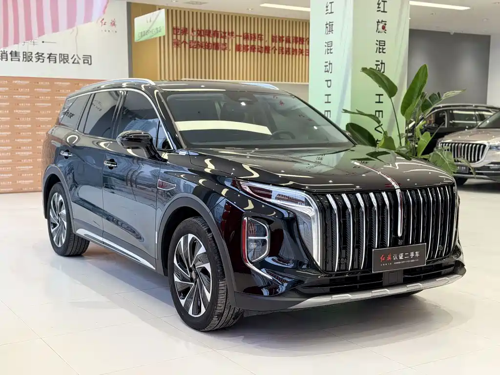 Hongqi HS7 PHEV 2024 — фото 6