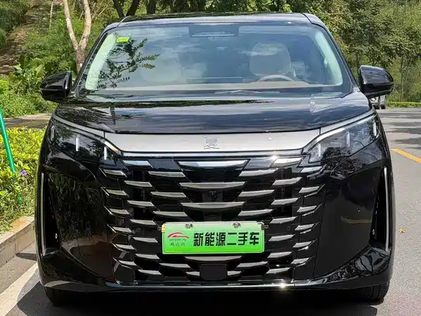 BYD Summer 2025