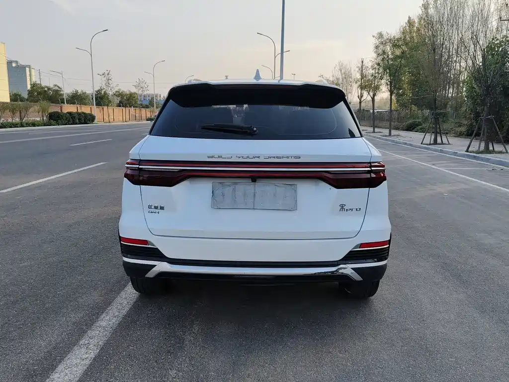 BYD Pro New Energy 2023 — фото 6