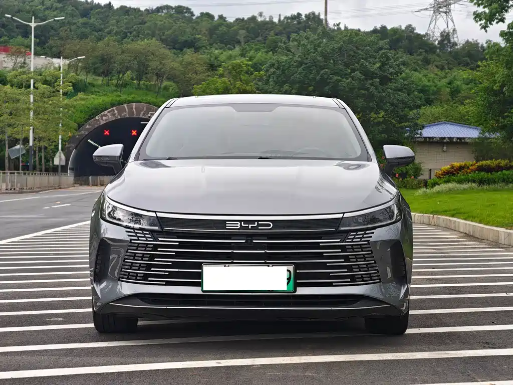 BYD Destroyer 05 2022 — фото 2