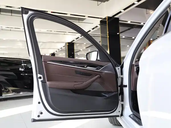 BMW 5 Series 2021