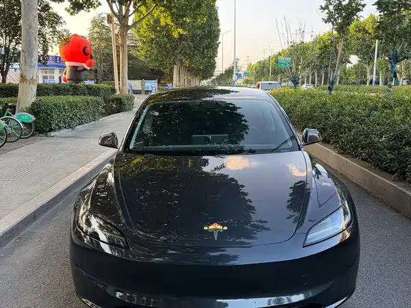 Tesla Model 3 2025