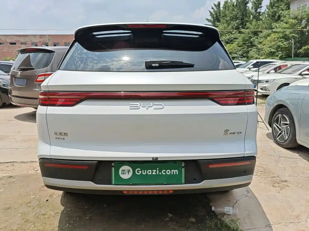 BYD Pro New Energy 2025 — фото 6