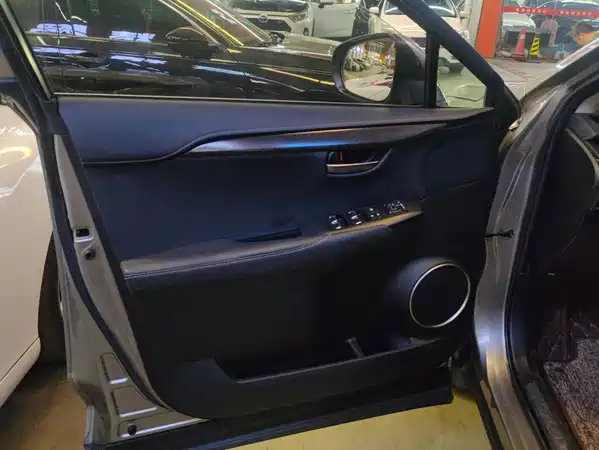 Lexus NX 2018