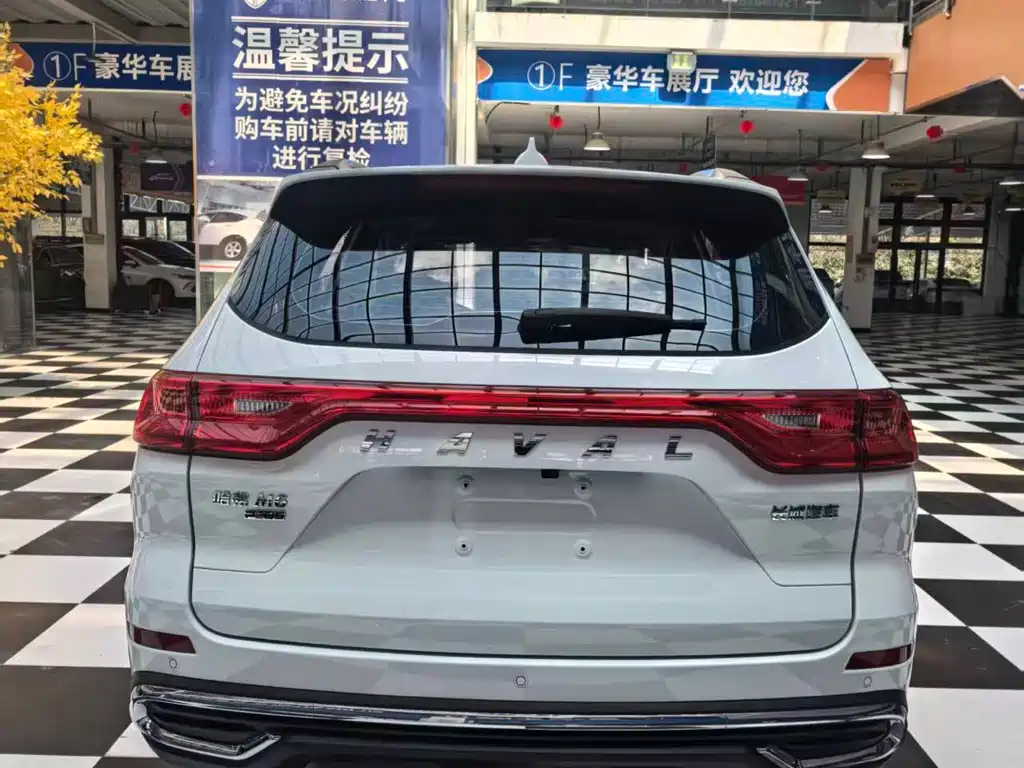 Haval M6 2023 — фото 14