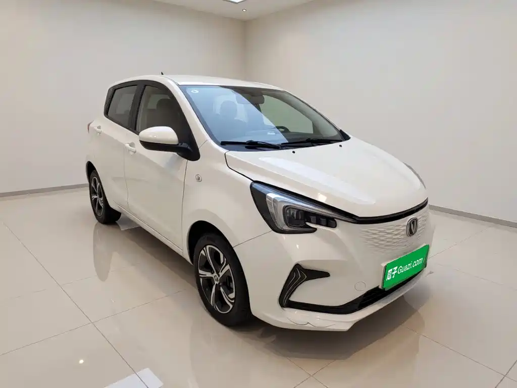 Changan Benben E-Star 2021