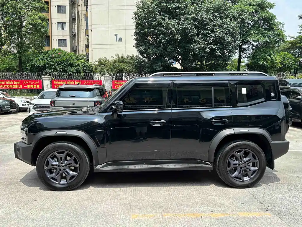 Shanhai Traveller C-DM 2024 — фото 3