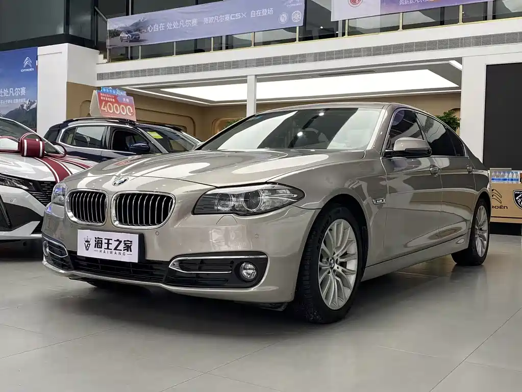 BMW 5 Series 2017