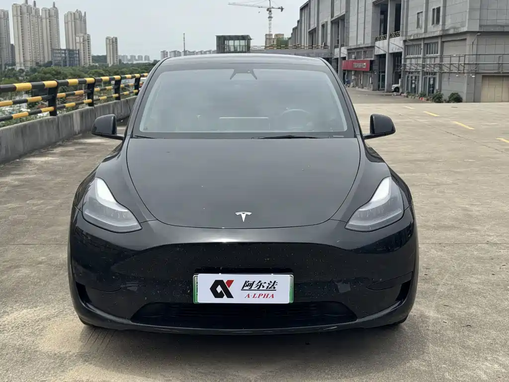 Tesla Model Y 2023 — фото 2