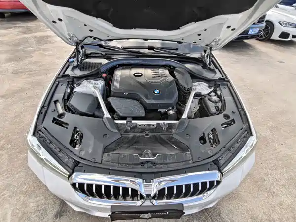 BMW 5 Series 2021