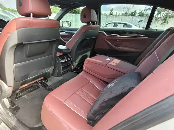 BMW 5 Series 2021