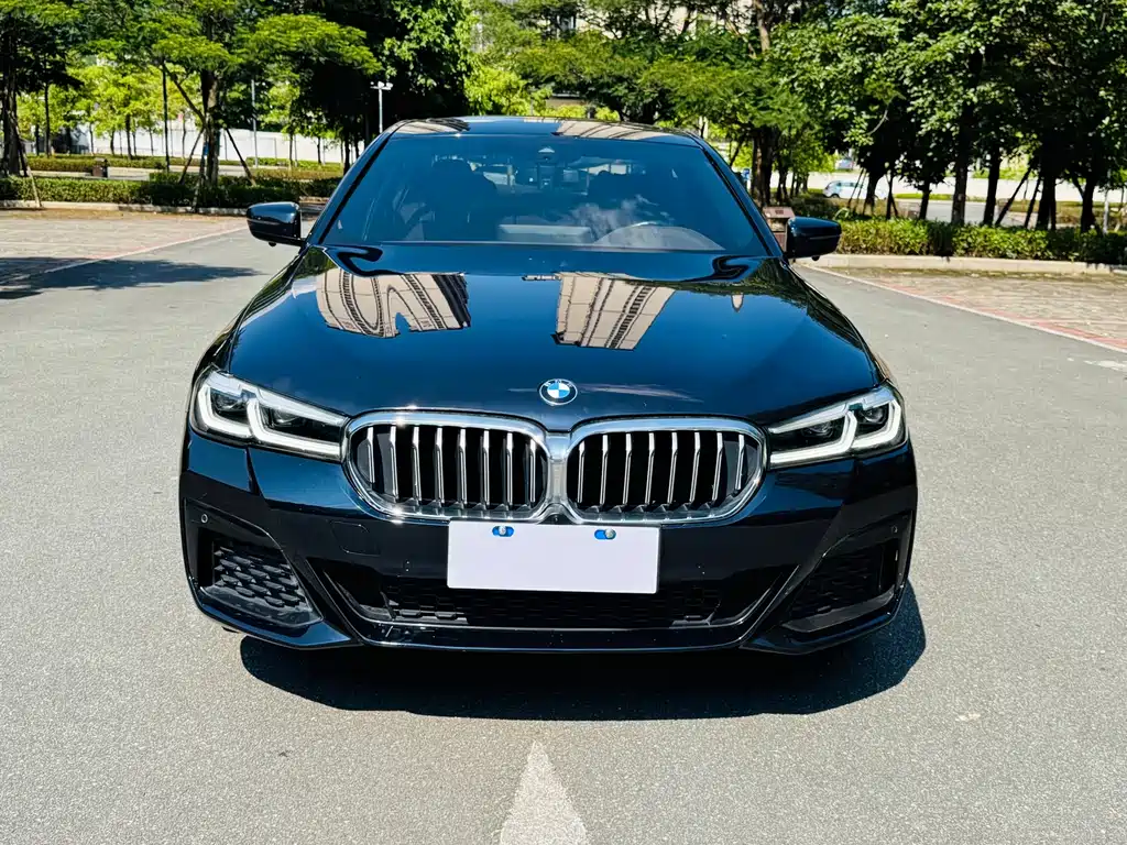 BMW 5 Series 2021