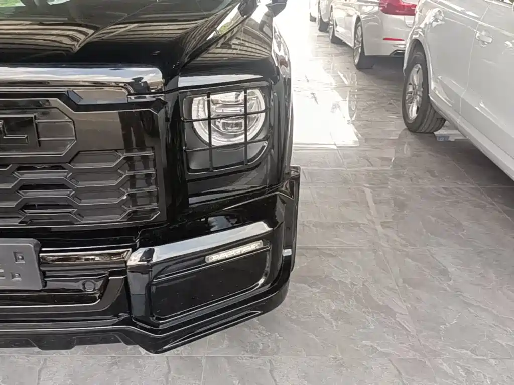 Haval Raptors New Energy 2023 — фото 24