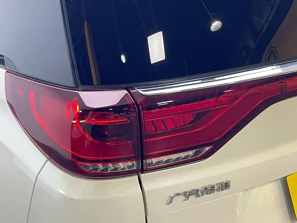 GAC Motor Trumpchi M8 2021 — фото 12