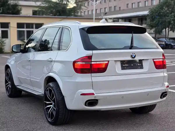 BMW X5 2010