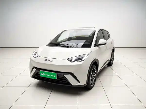 BYD Seagull 2024