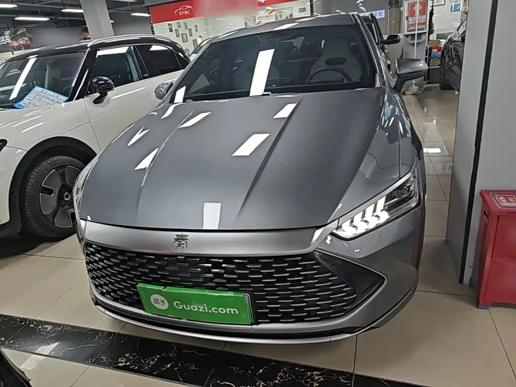BYD Qin PLUS 2024 — фото 3