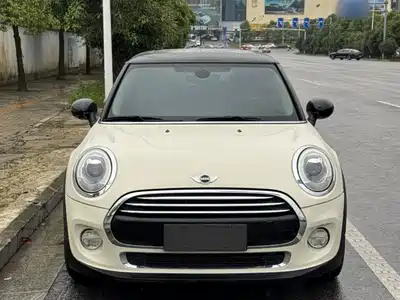 MINI MINI 2014