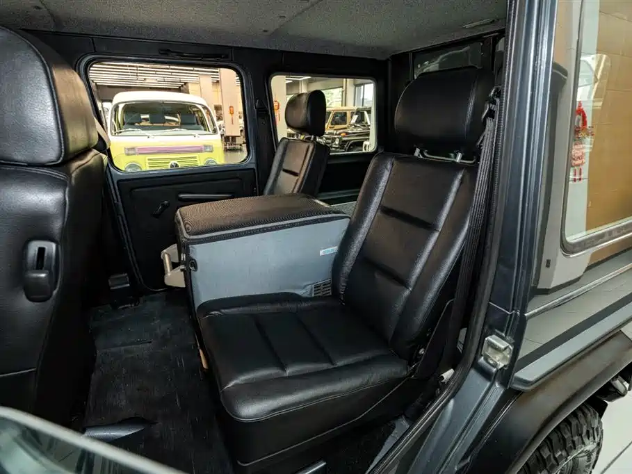 Mercedes-Benz G-Class 2010 — фото 10