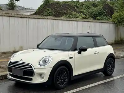 MINI MINI 2014