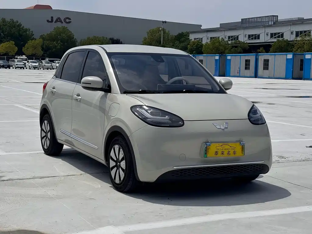 Wuling Bingo 2024