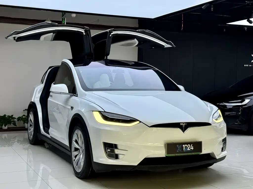Tesla Model X 2019 — фото 3