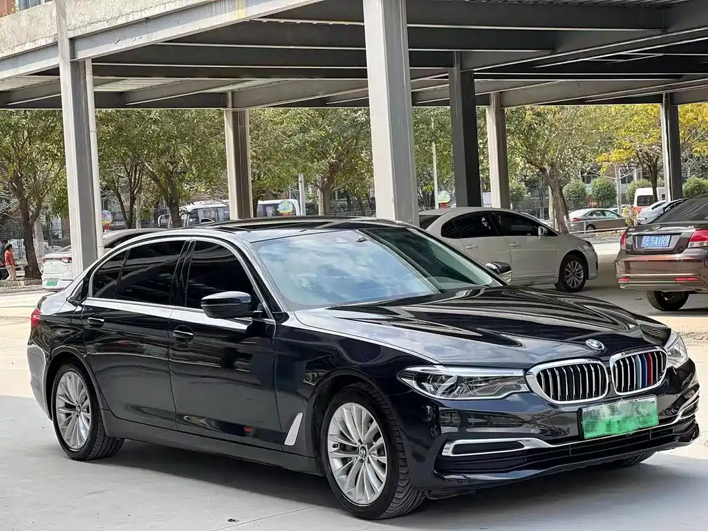 BMW 5 Series New Energy 2020