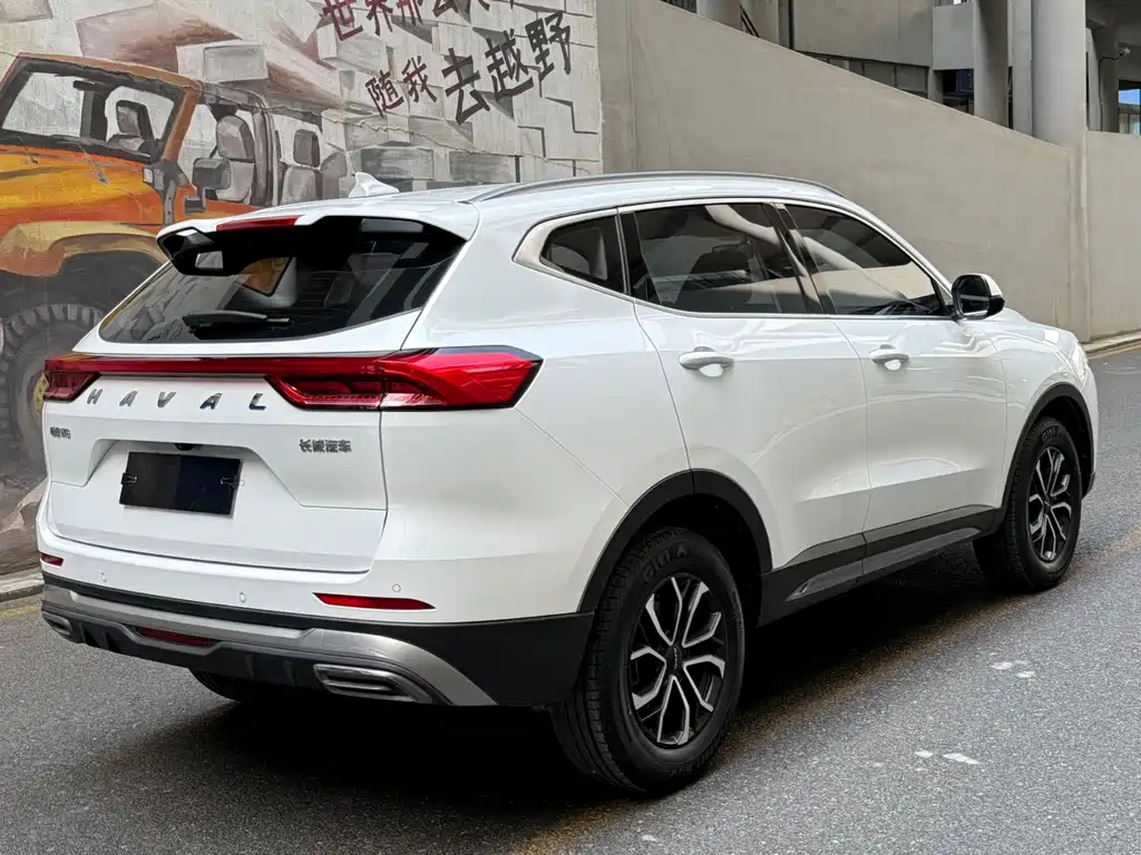 Haval H6 2021 — фото 4