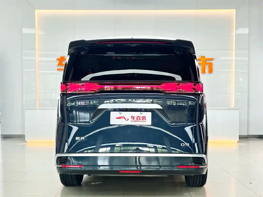 Denza D9 2023 — фото 6