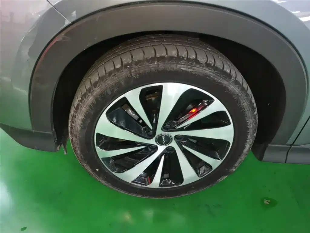 BYD PLUS New Energy 2024 — фото 23