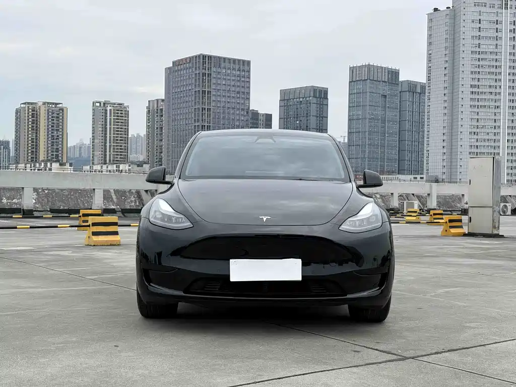 Tesla Model Y 2022 — фото 2