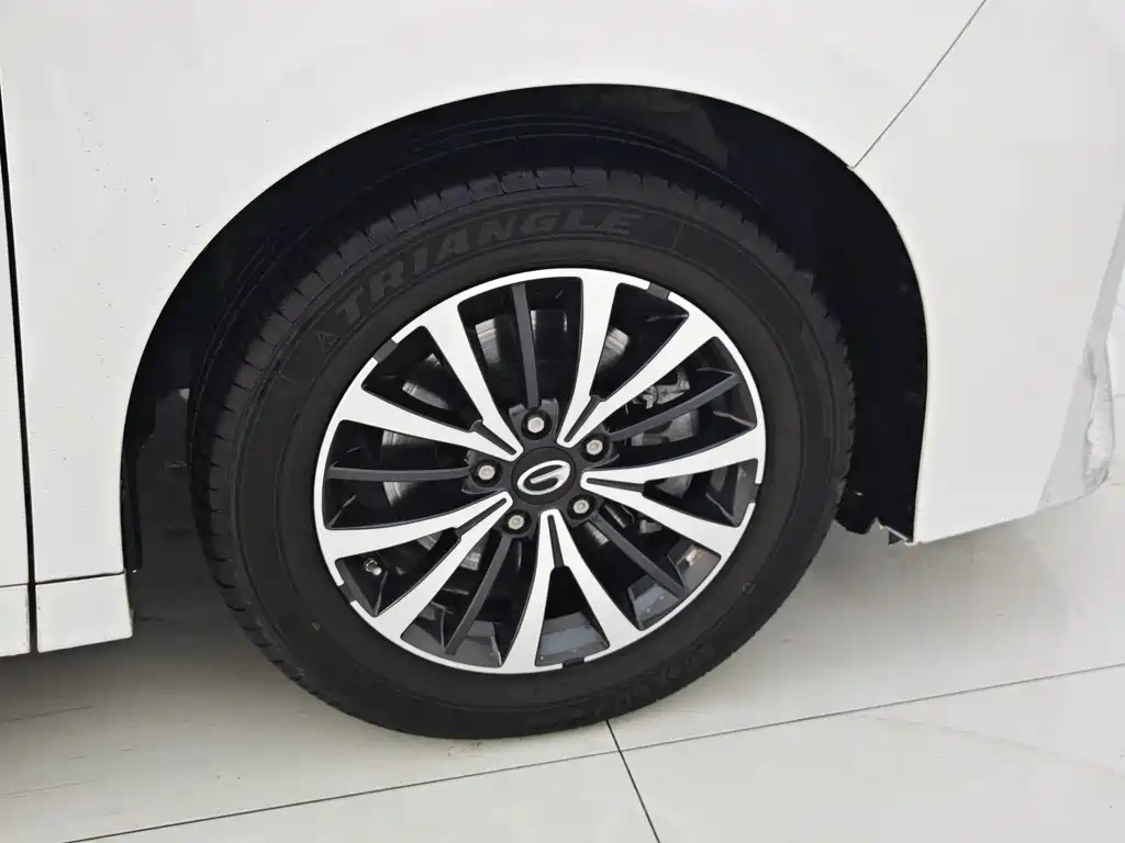 GAC Motor Trumpchi M8 2022 — фото 25